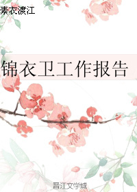 锦衣卫工作报告 素衣渡江百度网盘资源