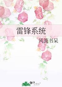 雷锋系统