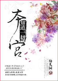 本宫乏了吗小说