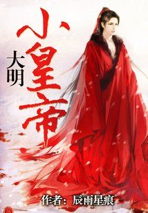 大明皇弟 小说