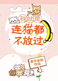 你连猫都不放过gl