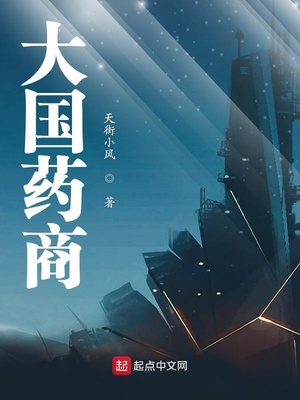 大国药商 小说