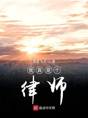 我真是个律师小说