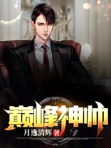 巅峰神帅 小说