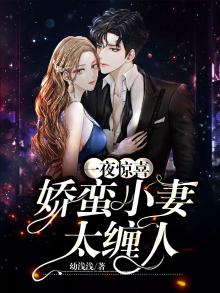 一夜惊喜:娇蛮小妻太缠人
