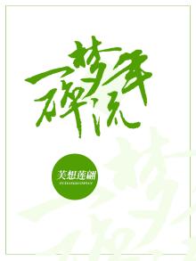 一梦碎流年