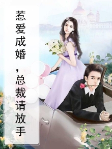 惹爱成婚,总裁请放手小说