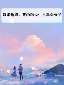 替身新娘陆总的第一宠妻小说