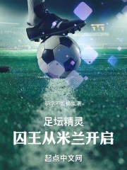足坛精灵:囚王从米兰开启
