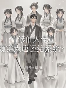 穿越大唐收公主小说