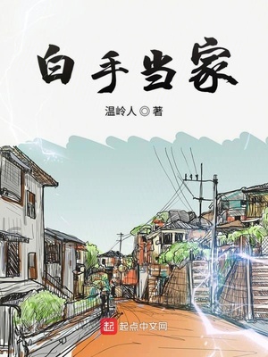 白手当家TXT下载