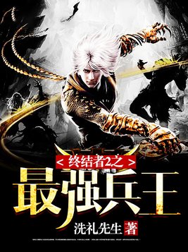 终结者2之最强兵王