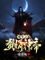 重生之赘婿神帝TXT