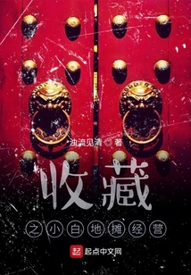 摆摊收藏