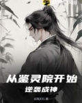 从鉴宝开始