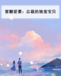 蜜糖爱妻:总裁的独宠宝贝