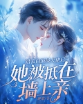 表白错了人的小说