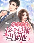 萌妻萌萌哒,捡个总裁当老公