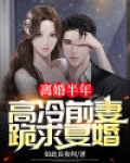 离婚半年,高冷前妻跪求复婚