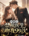 医生闪婚宠文小说