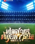 被解约后,我统治了足坛