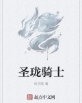 骑龙圣者