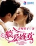 小说瘾欢journey