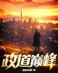 小说政途巅峰中文网