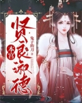 本宫贤良淑德小说内容概括