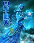 只手遮天的小说