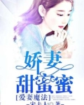 爱妻魔法:娇妻甜蜜蜜免费阅读