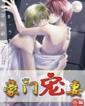 豪门宠妻