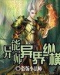 异能师异界纵横 盗版小法师