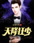 小说天降狂男