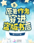 穿进盗版书里