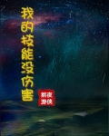 我的技能没伤害小说