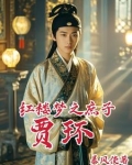 红楼贾府庶子