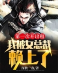 美女总裁的出租车司机