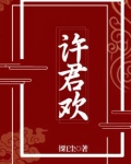 许君欢 完结版