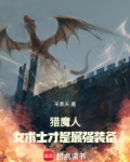 猎魔人:女术士才是最强装备小说