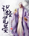 识轻觅晏完整版