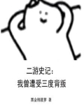 二游史记:我曾遭受三度背叛 小说