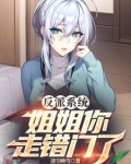 反派的姐姐小说