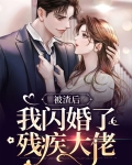 被渣后我嫁给了大佬免费