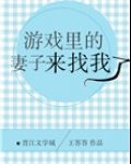 游戏里的老婆小说