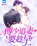 傅少追妻忙