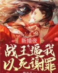 新婚宠爱:战少,你好!