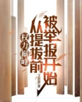 权力巅峰:从提拔前被举报开始