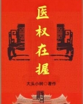 医权在握李毅笔趣阁