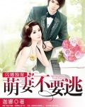 闪婚独宠小萌妻